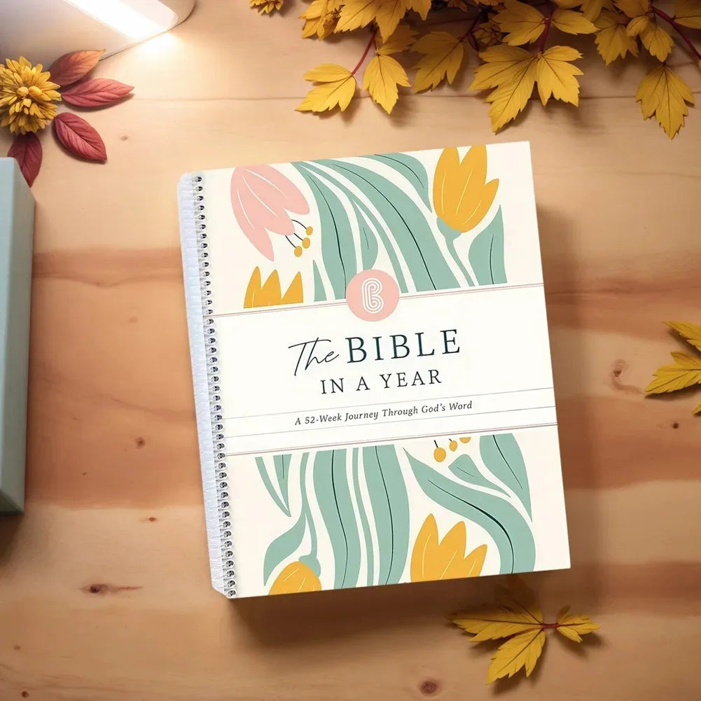 Transformative Women’s Bible Study Plan